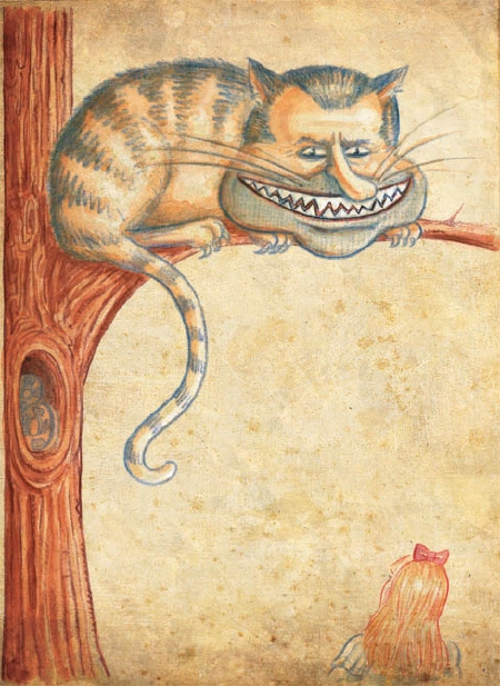 Peter Kupers ALICE cat 1 Peter Kupers ALICE