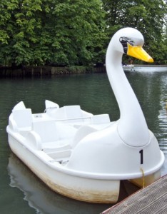 A 4-seater swan pedalo
