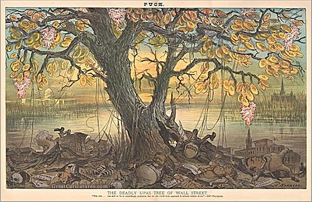 1882_0830_tree_650.jpg