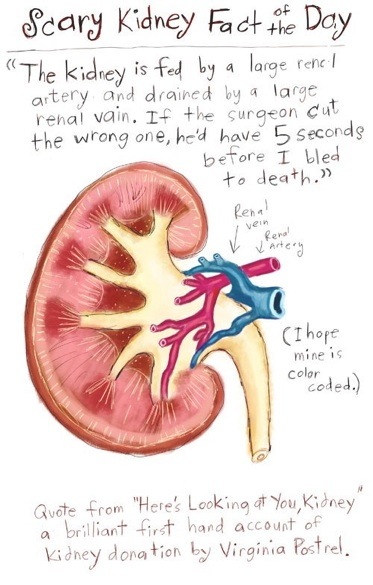 jana-kidney3.jpg