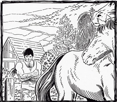 neigh.jpg