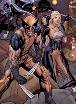 Angry Wolverine backed by team