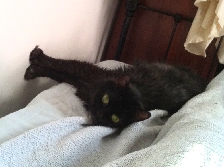 inky.JPG