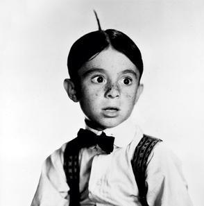 alfalfa