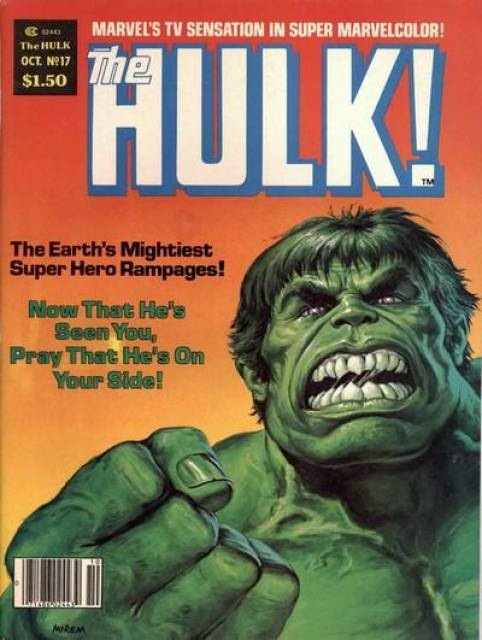 17753-2954-19844-1-hulk.jpg