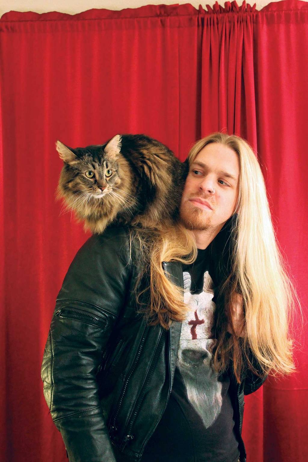 Aub-Driver-Metal-Cats.jpg