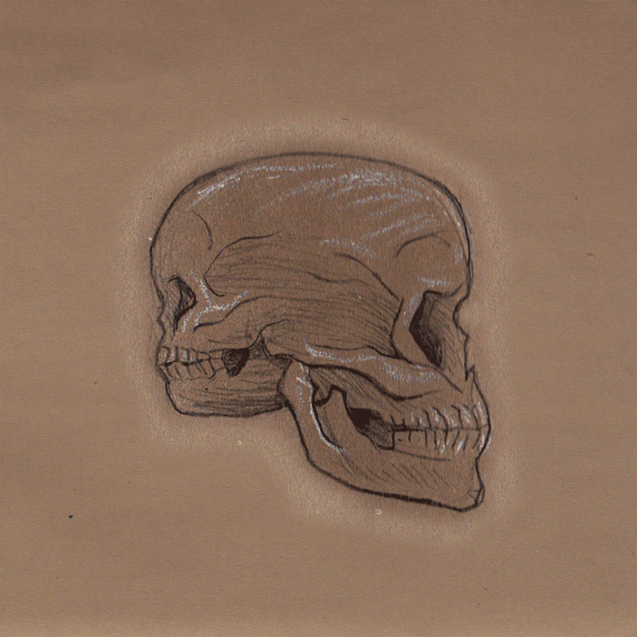 skeleton-double-skull.gif