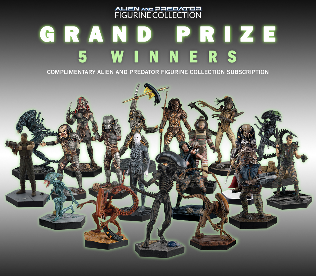 0 grand prize- avp collection