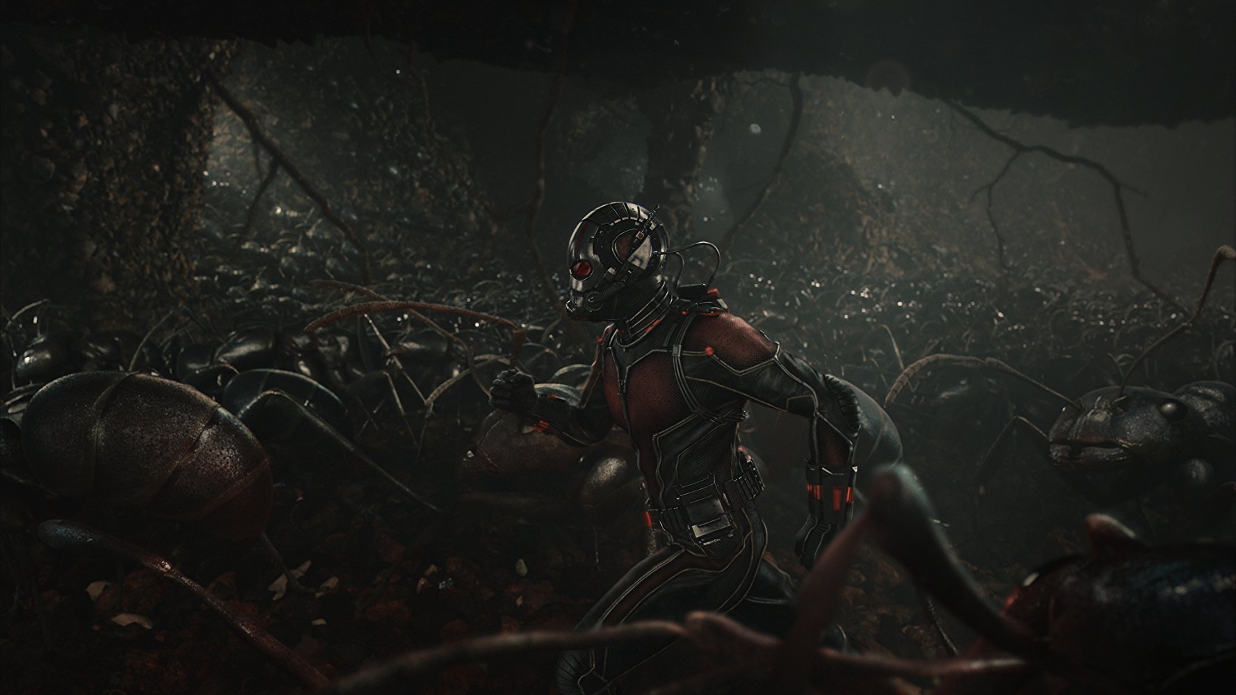 antman_04