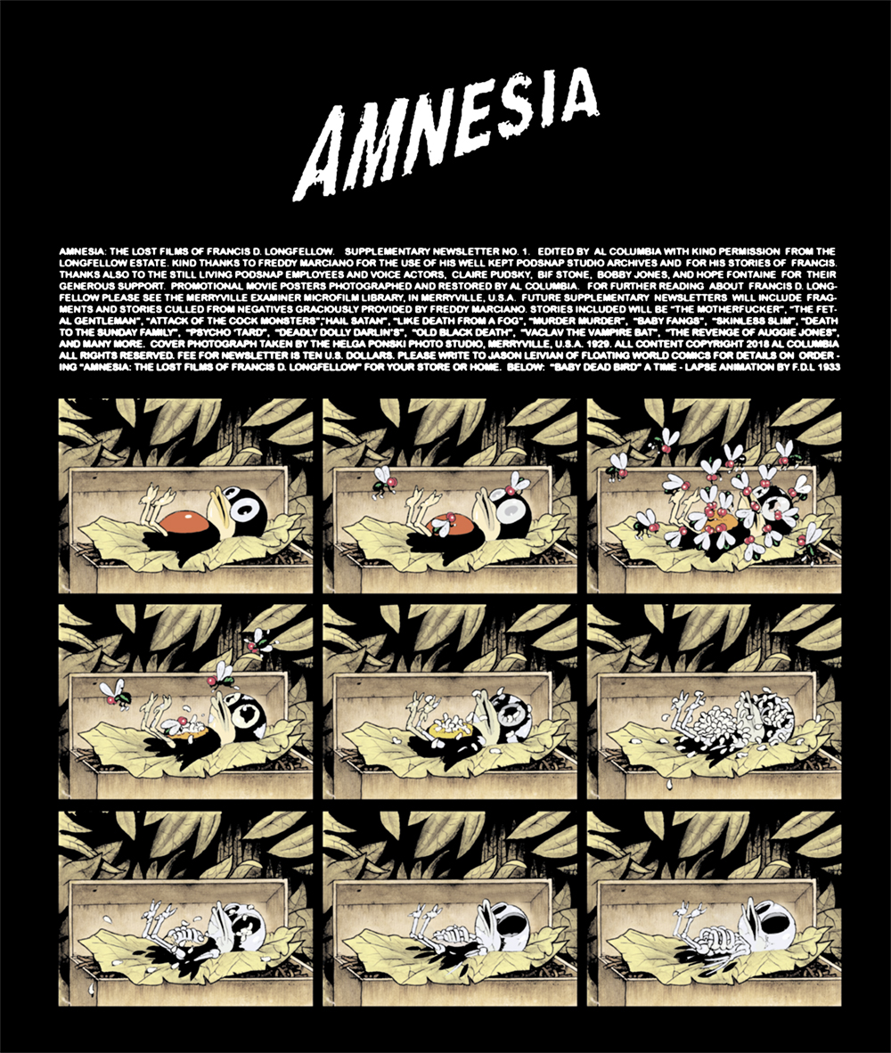 amnesia-2