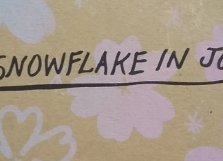 Review: Depthful Poetry in Amery Sandford’s A Snowflake in July