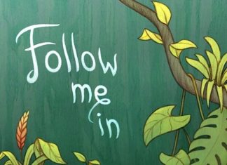 Review: The Passion of Discovery in Follow Me In by Katriona Chapman