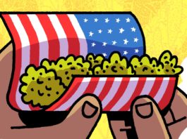 INTERVIEW: Exploring the Madness of Marijuana Restriction in Box Brown’s CANNABIS