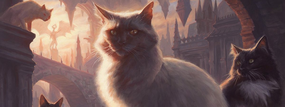 The Story Behind MAGIC s War  of the Spark Cat  Card Will 