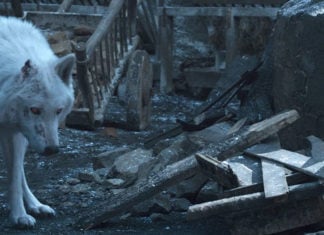 The Real Reason Jon Snow Gave Ghost the Cold Shoulder