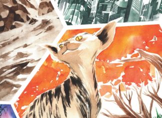 A cat saves the universe in Giffoni, Doe, and Krotzer’s STRAYED