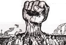 Will comics ever get a union? Sasha Bassett plans to find out