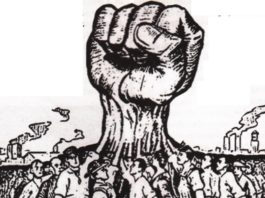 Will comics ever get a union? Sasha Bassett plans to find out