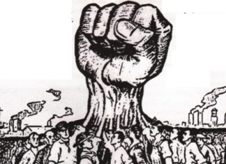 Will comics ever get a union? Sasha Bassett plans to find out