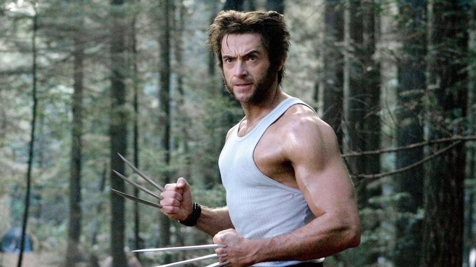 Wolverine