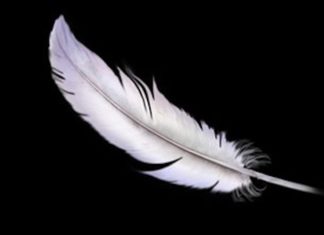 A HUNGER GAMES prequel novel has been announced for 2020