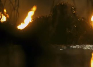 SWAMP THING had a three-season Justice League Dark lead-up planned