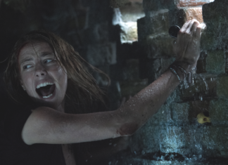 Review: CRAWL tries to be better than its B-movie roots, but it really didn’t need to be Crawl