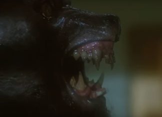 SDCC ’19: If the director of IT CHAPTER II says he would love to remake THE HOWLING, then get that man a camera