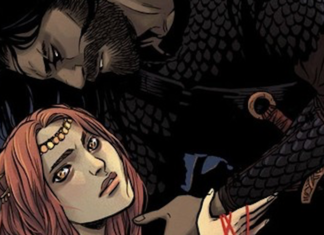 BY CHANCE OR PROVIDENCE gets new Becky Cloonan cover