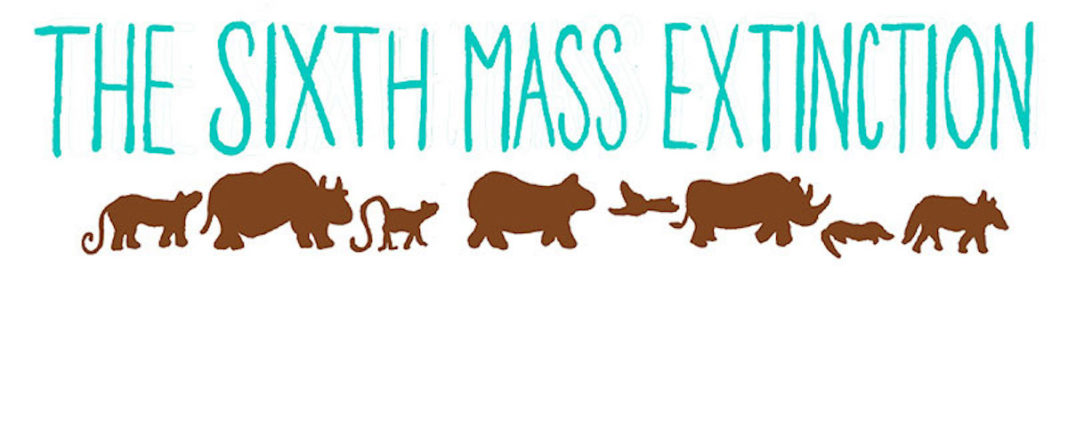 The Sixth Mass Extinction