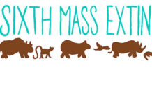 A Year of Free Comics: Laura Ķeniņš on The Sixth Mass Extinction The Sixth Mass Extinction