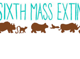 The Sixth Mass Extinction