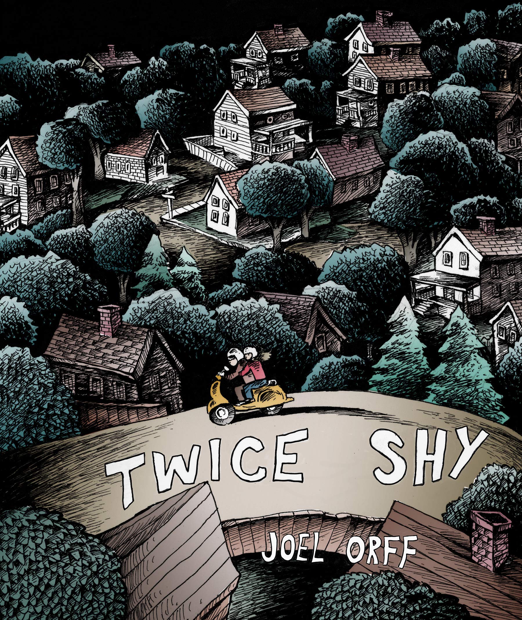Graphic Novels for Fall 2019: Twice Shy