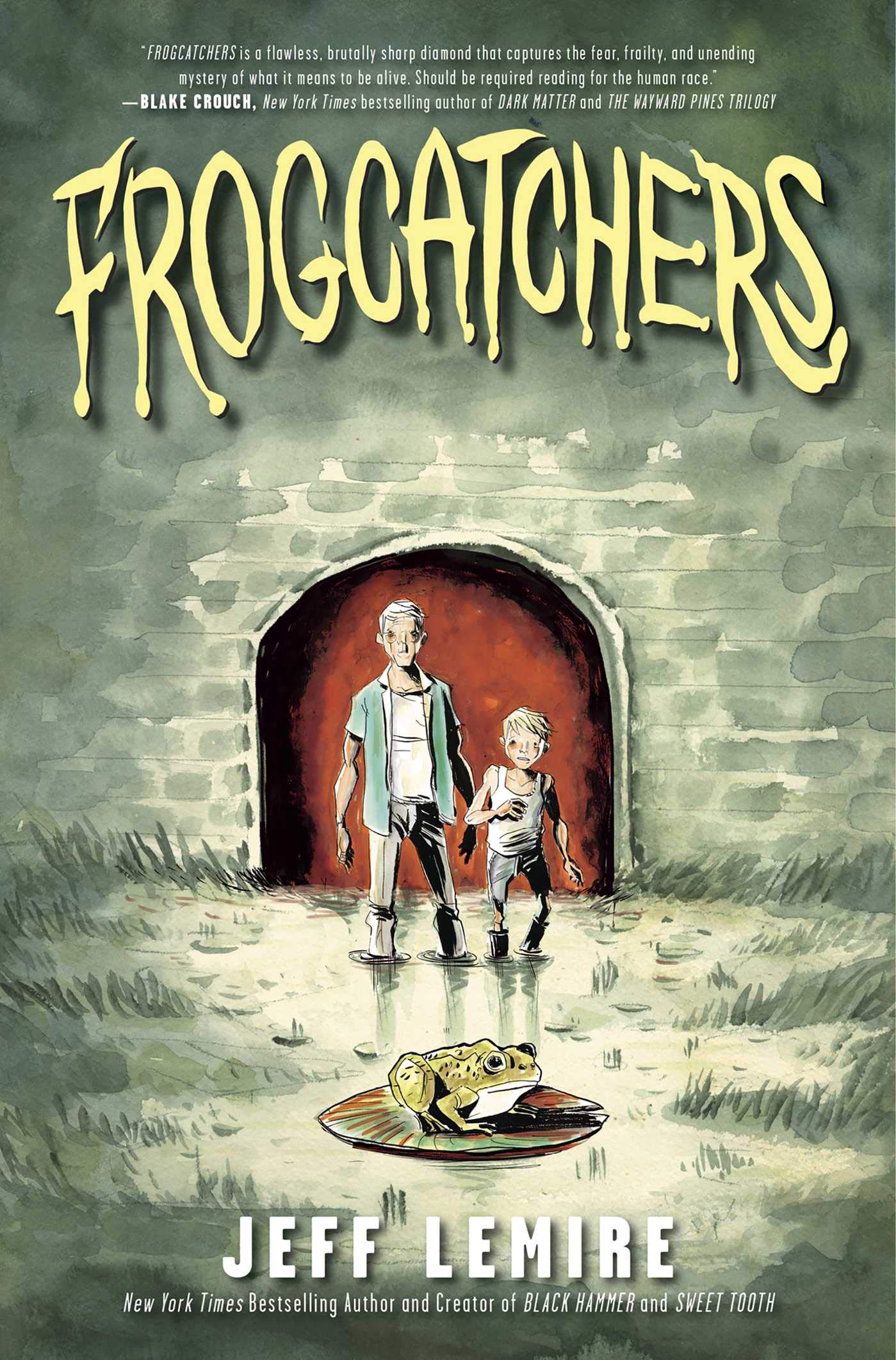Graphic Novels for Fall 2019: Frogcatchers