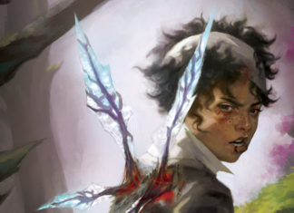 REVIEW: SPARROWHAWK is almost a complete mess, except for the art Sparrowhawk review