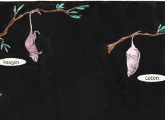 Interview: Getting under the skin with Kate Lacour