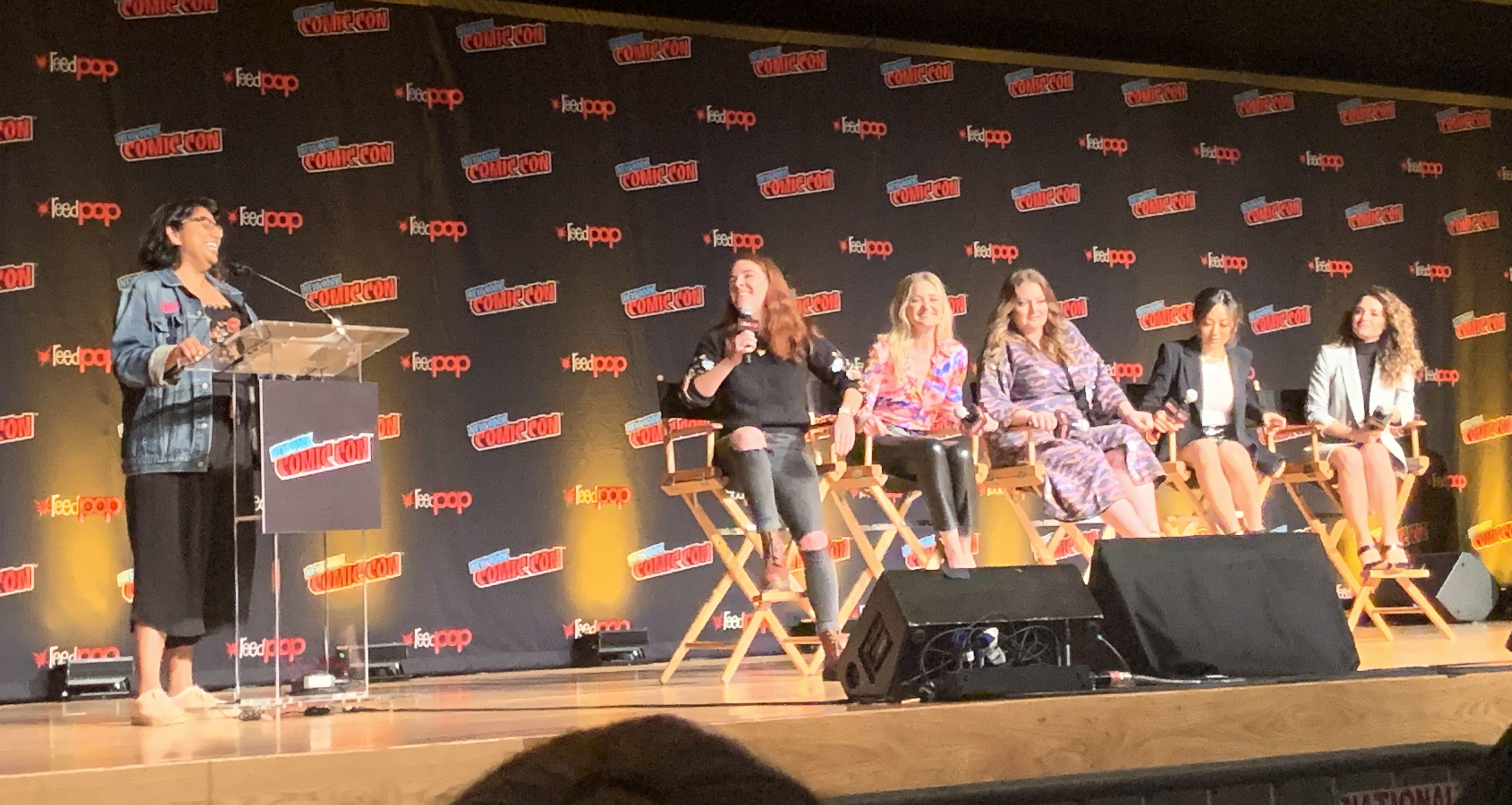 She-Ra panel