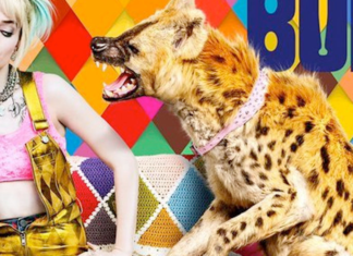 WATCH: A closer look at the BIRDS OF PREY costume display at NYCC ’19 birds of prey costume