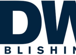 New Execs at IDW: Cahalin, McCrillis, Meyers, Morehead and Morrow
