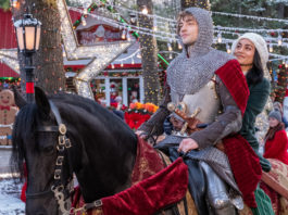 The Knight Before Christmas