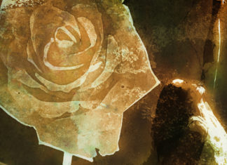 INTERVIEW: Aspen Comics Talent Hunt Winner Chris Callahan discusses THE MISPLACED The Misplaced