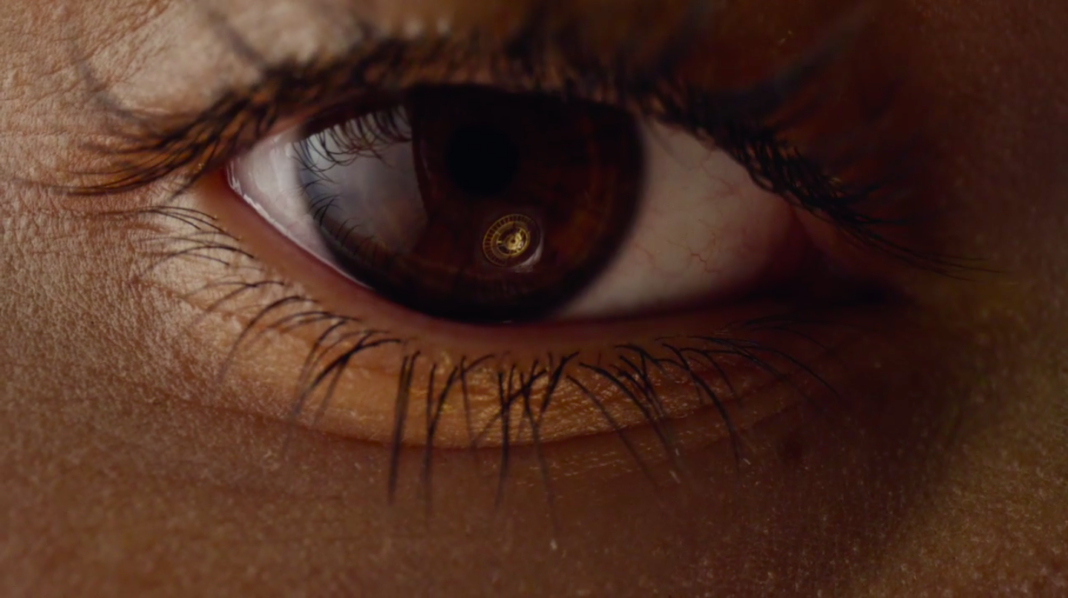 Screen Shot 2019-11-17 at 2.55.07 PM