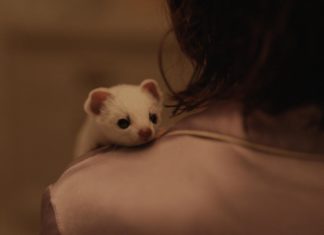 Recap: HIS DARK MATERIALS S1E2 — “The Idea of the North”