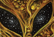 INDIE VIEW: ‘The Willows’ is awesome ’70s horror comics by way of Lovecraft