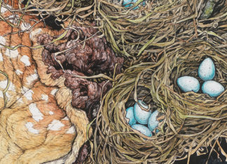 EXCLUSIVE: Dark Horse to publish SACRED DECAY: THE ART OF LAUREN MARX in 2020