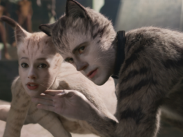 Cats