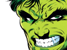 MINT CONDITION: Peter David’s The Incredible Hulk (1987) The Banner Banner