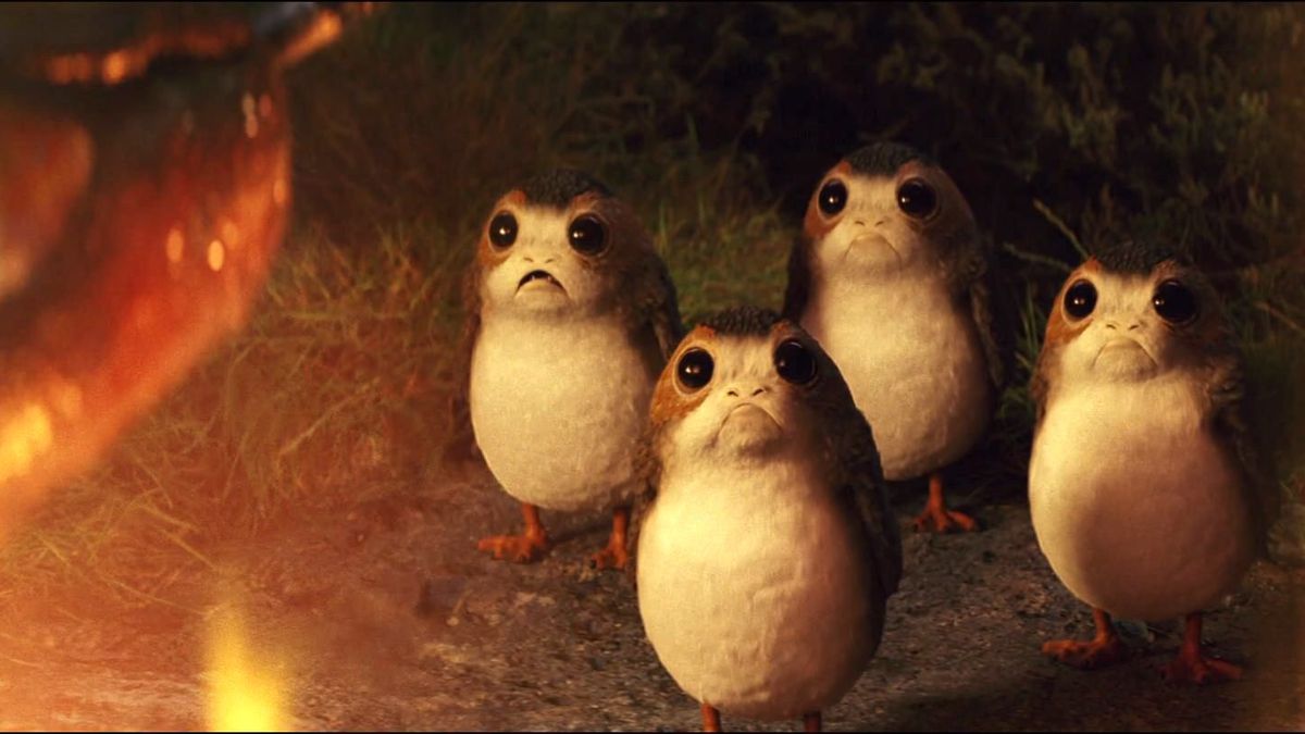 Porgs