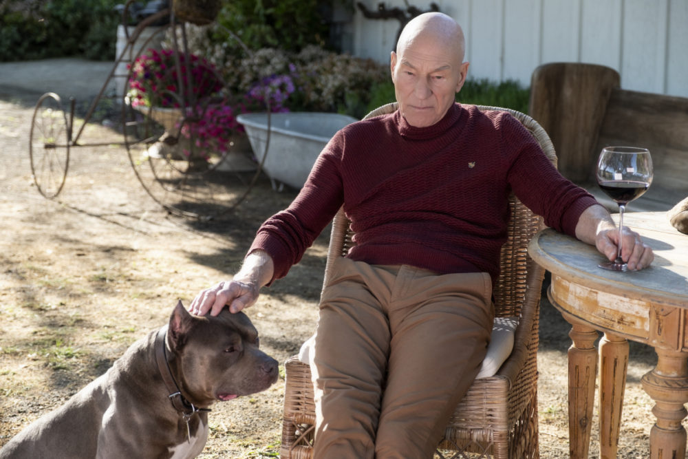 Picard sitting and petting his dog Number One Picard S1E1 - "Remembrance"