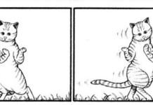 REVIEW: WHAT’S MICHAEL? is the funniest, canniest cat comic in print